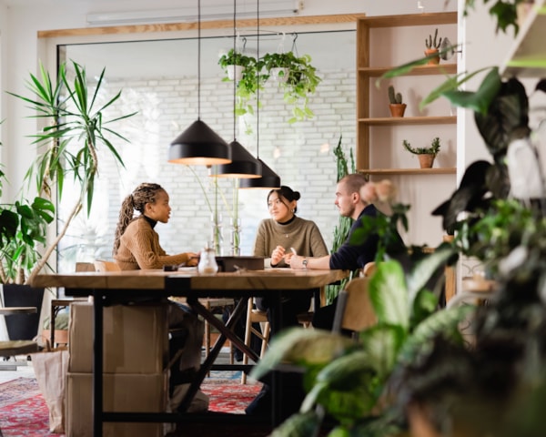 Tre personer som sitter rundt et bord i en intervhusetting, i et lyst rom med grønne planter.